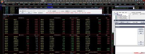 软件股票信息分析与建议