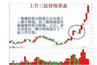 金贝壳资产管理有限公司