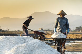 深度解析，探秘定期寿险的保险金盾力量——为生活保驾护航的稳健选择